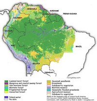 Carte de l'Amazonie selon le type et l'état des forêts