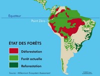 Carte simple de la déforestation en Amazonie