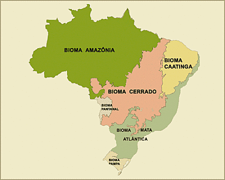 Carte des six biomes ou éco-régions que compte le Brésil.