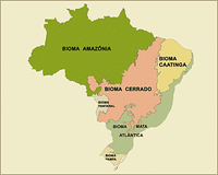 carte six biomes ou écorégions que compte le Brésil