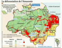 Carte de l'Amazonie légale avec les villes, les Etats, le nom des principales tribus indiennes et la déforestation des forêts selon le type de forêts.